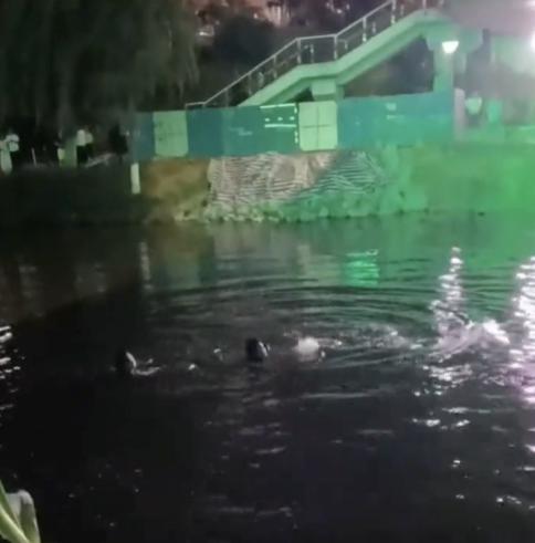 俊升配资 少年疑因家庭矛盾跳桥，岳阳的哥路过救起获公司奖励1000元：举手之劳，这不是事