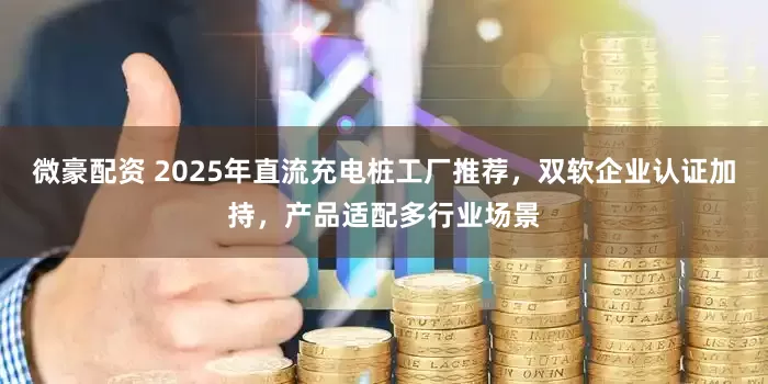 微豪配资 2025年直流充电桩工厂推荐，双软企业认证加持，产品适配多行业场景